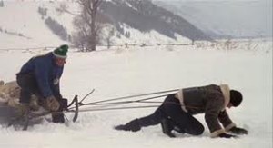 This was me all last month. Except I was pulling sleds with my mind!